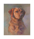 Labrador Retriever. Canine fine art dog print from the Crufts Gundog group.