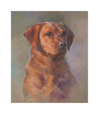 Labrador Retriever. Canine fine art dog print from the Crufts Gundog group.