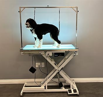 LED Lit Master Groomer Electric Lift Grooming Table (Basic Package)