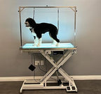 LED Lit Master Groomer Electric Lift Grooming Table (Basic Package)
