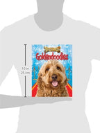 Goldendoodles (Designer Dogs)