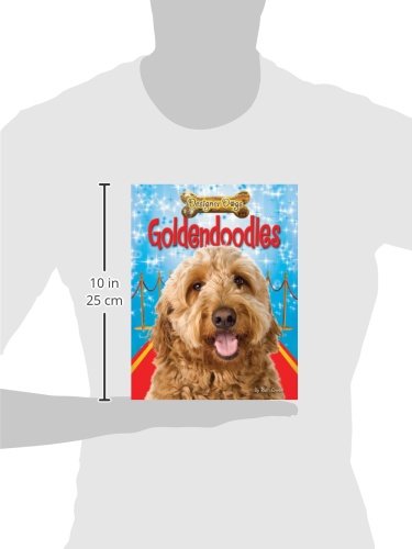 Goldendoodles (Designer Dogs)