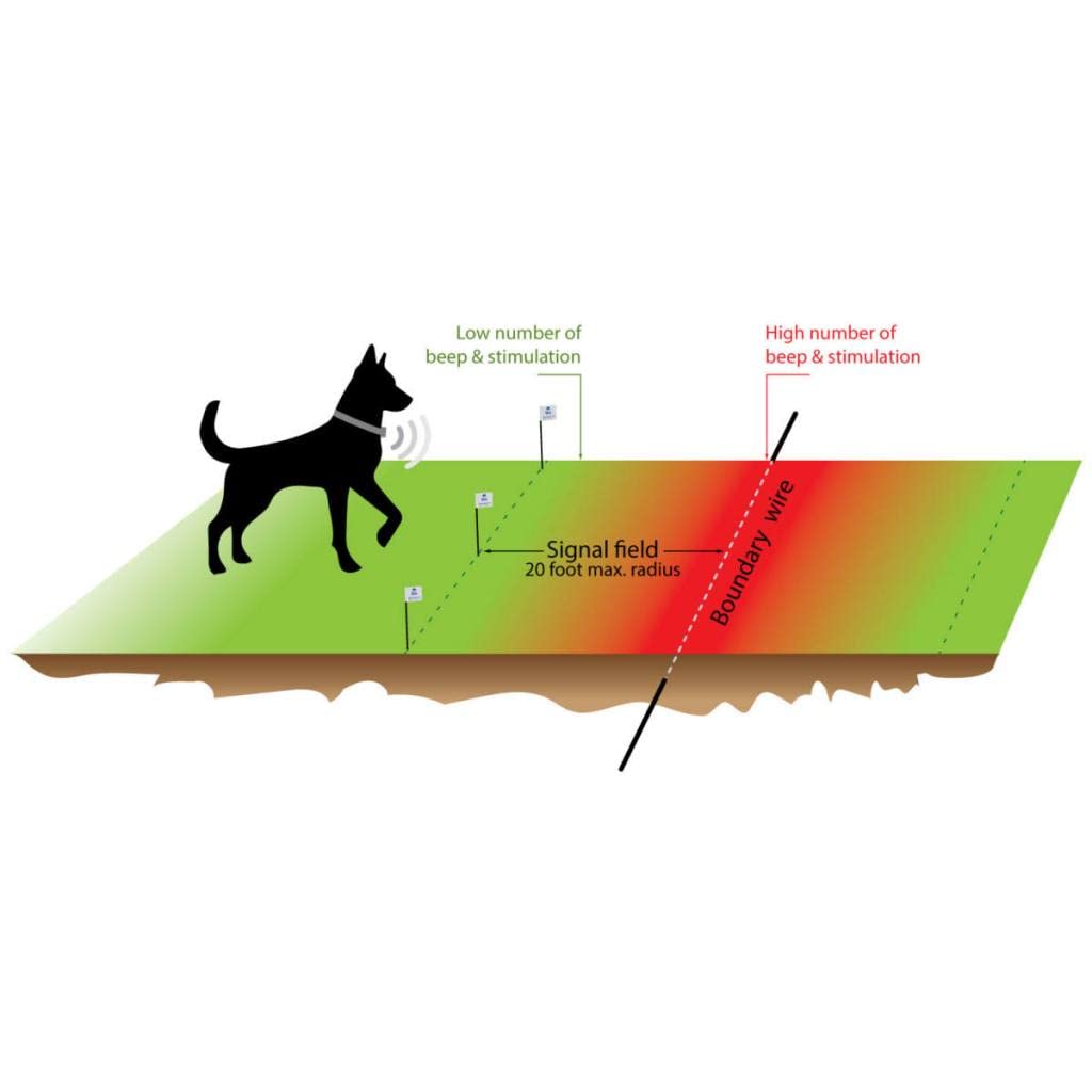 Underground Electric Dog Fence Kit, Standard, 1-Dog, Solid Copper