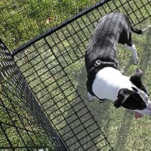 8' X 12' Ultimate Dog Kennel Standard (Powder-Coated)
