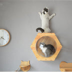 DIY Wall-Mounted Cat Climbing Frame Tree Toy Space Capsule Play House Cave Kitten Bed Wood Pet Furniture(E)