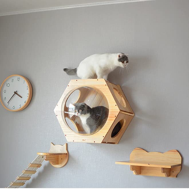 DIY Wall-Mounted Cat Climbing Frame Tree Toy Space Capsule Play House Cave Kitten Bed Wood Pet Furniture(E)