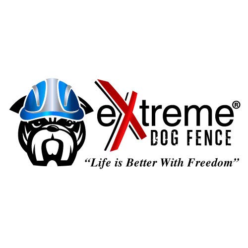 Underground Electric Dog Fence Kit, Standard, 1-Dog, 500 ft, DIY Install