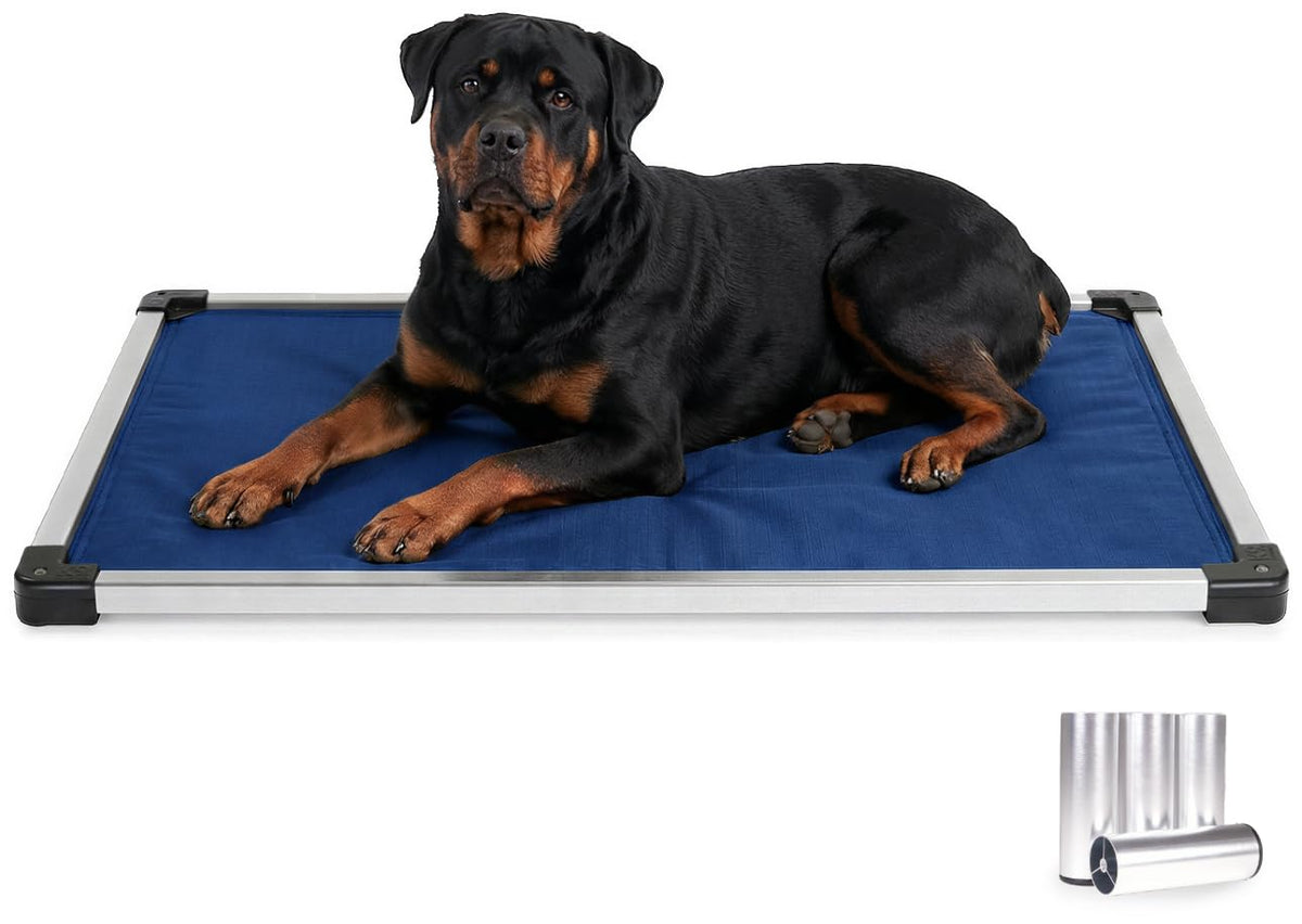 K9 Ballistics Chew Proof Armored Padded Dog Crate Bed, M, Sage Green