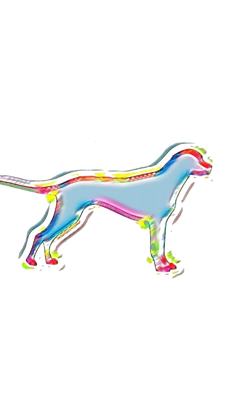 Dog Art themed Blank creative journal: Dog creative Blank journal Sir Michael designer Edition