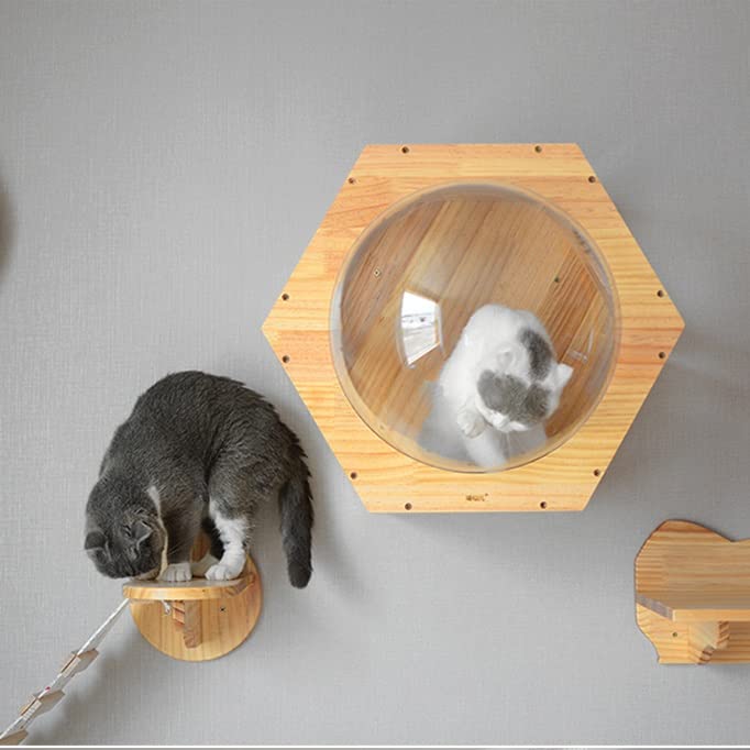 DIY Wall-Mounted Cat Climbing Frame Tree Toy Space Capsule Play House Cave Kitten Bed Wood Pet Furniture(E)