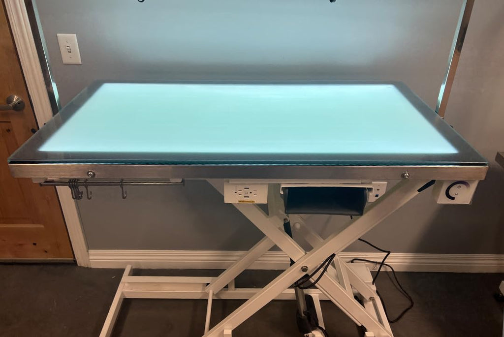 LED Lit Master Groomer Electric Lift Grooming Table (Basic Package)