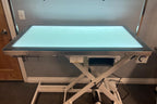 LED Lit Master Groomer Electric Lift Grooming Table (Basic Package)