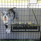 8' X 12' Ultimate Dog Kennel Standard (Powder-Coated)