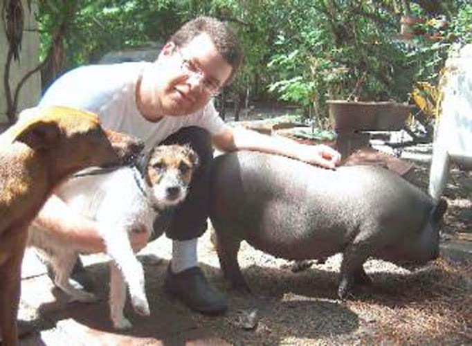 SCHMETZPETZ french bulldog reading dog art print - stretched canvas or paper print