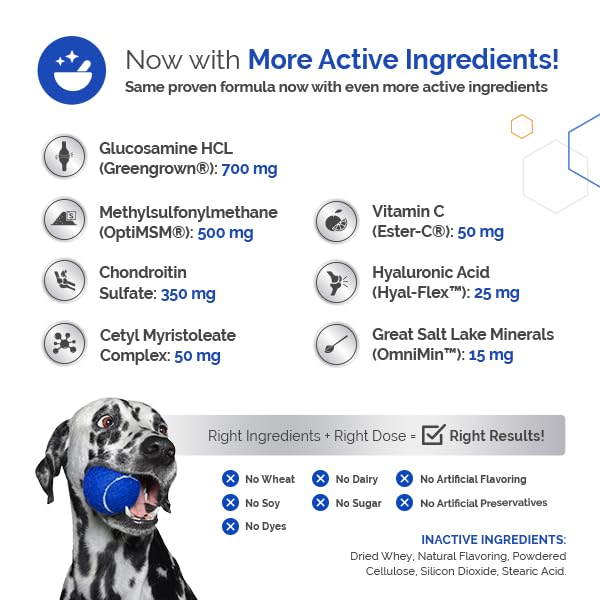 GlycanAid HA Advanced Joint Nutrition for Dogs (300 Chewable Tablets) Made in USA with USA Ingredients: Glucosamine HCL, Chondroitin, Hyaluronic Acid, MSM