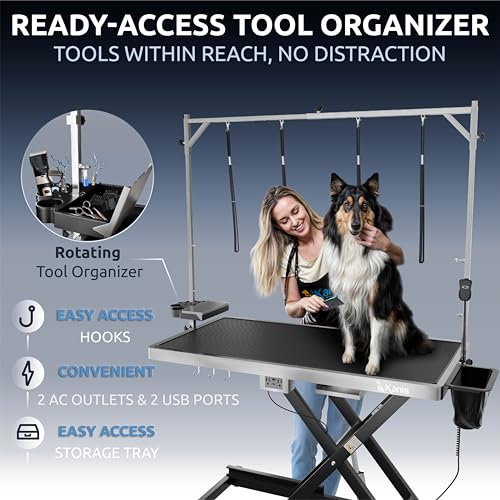 49" Professional Electric Dog Grooming Table, Black + 61" Professional Stainless Steel Dog Bathing Station, Right RAMP