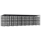 Steel Outdoor Dog Kennel with Roof 119 ft²