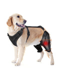 Dog Knee Brace for Luxating Patella,Torn Ligament,Both Legs/M Size