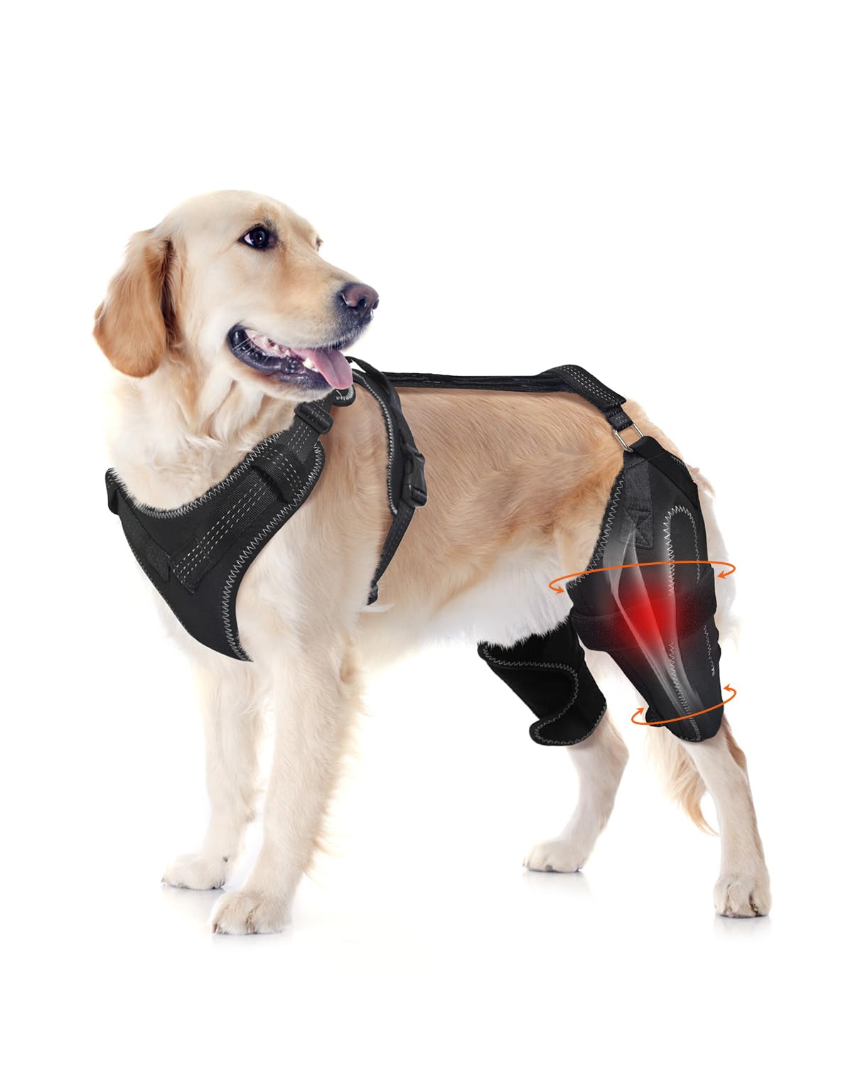Dog Knee Brace for Luxating Patella,Torn Ligament,Both Legs/M Size