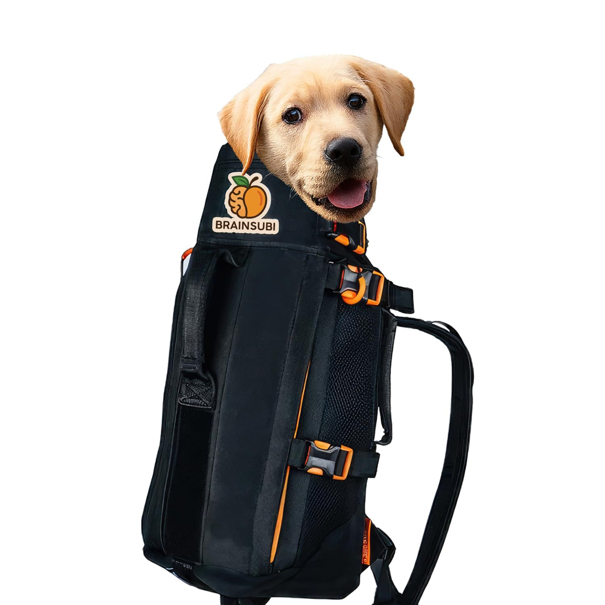 The Maxine One Medium Dog Carrier | Dog Backpack Carrier for Medium Sized Breeds | Adjustable Front Facing Pet Carrier for Travel | Dog Hiking Backpack - Bark After Dark Black