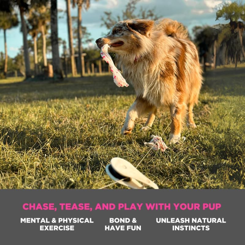 Swift Paws - Chase! - App-Control Dog Toy - Capture the Flag Lure Course - Interactive Dog Enrichment Toy