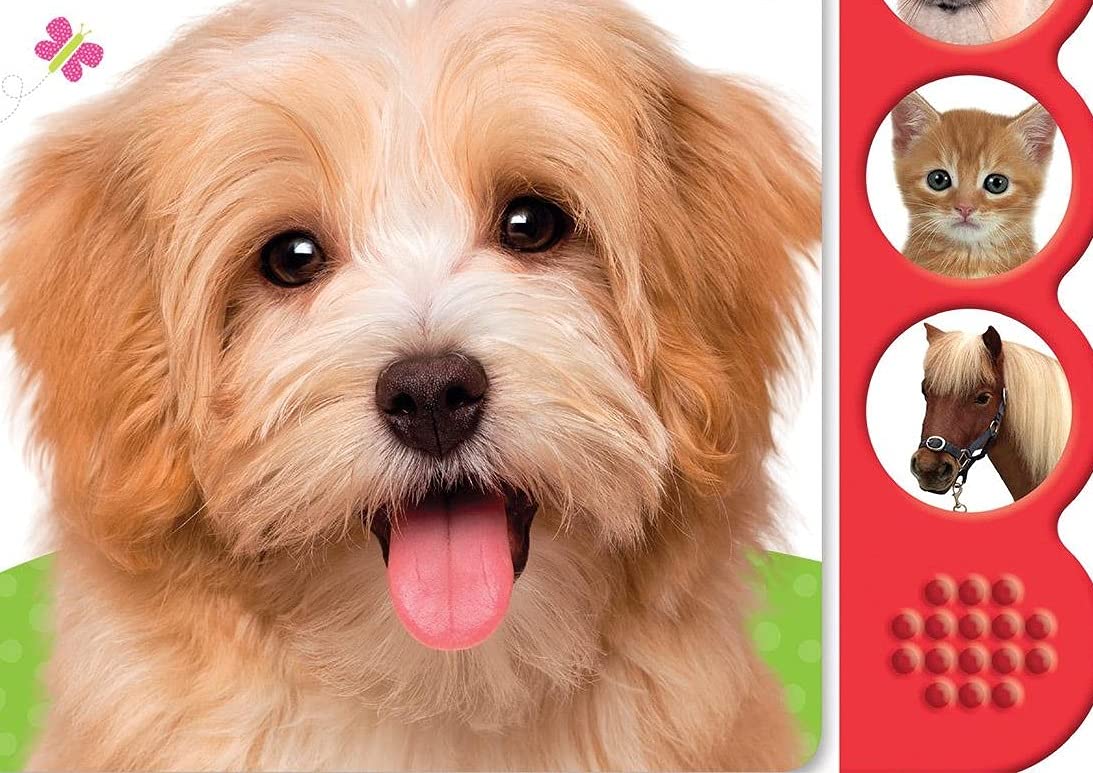 Woof! (Scholastic Early Learners: Noisy Playful Pets)