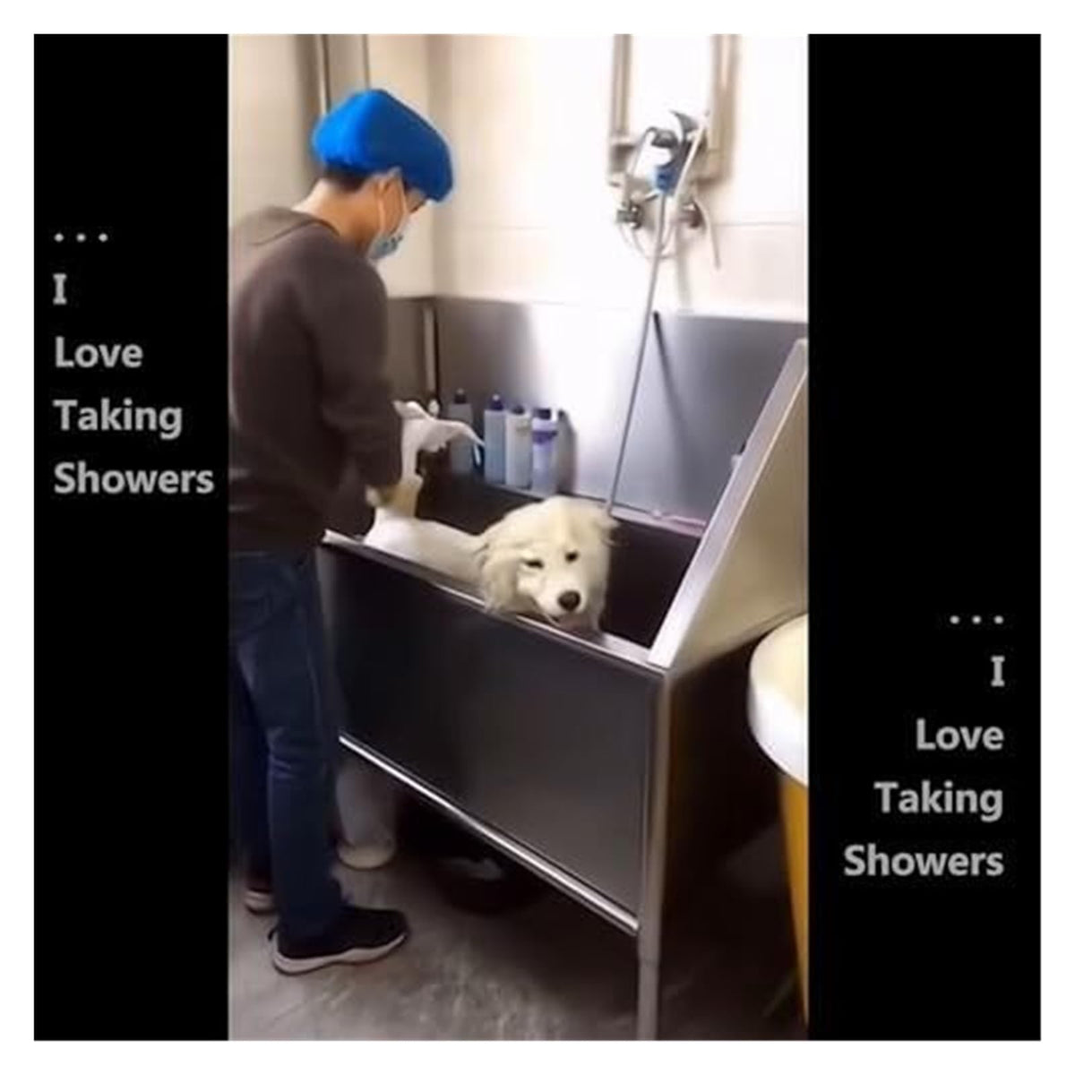 Stainless Steel Dog Grooming Bath Tub - 31.5" Wide, 15.7" Deep, Ideal for Easy Pet Washing & Grooming at Home, Durable, Easy to Clean, Perfect for Large Dogs