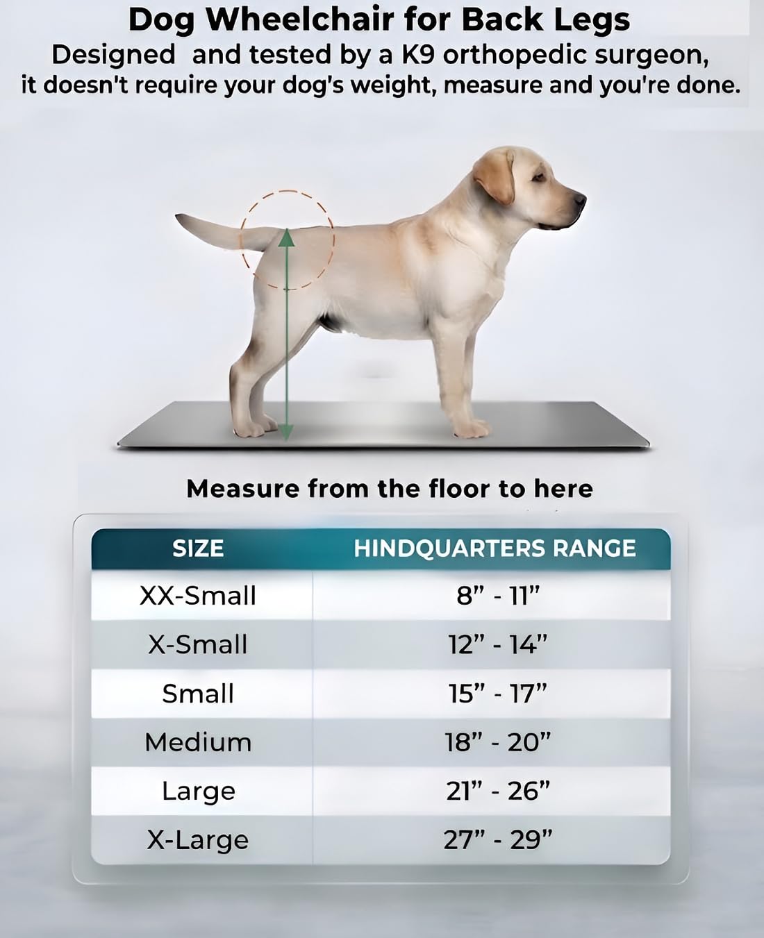 Dog Wheelchair for Back Legs - Dog Wheelchair K9 Orthopedic Surgeon Designed & Tested - Adjustable Lightweight All-Terrain Wheels for Dogs Back Legs - Mobility Cart by Best Friend Mobility - X-Large