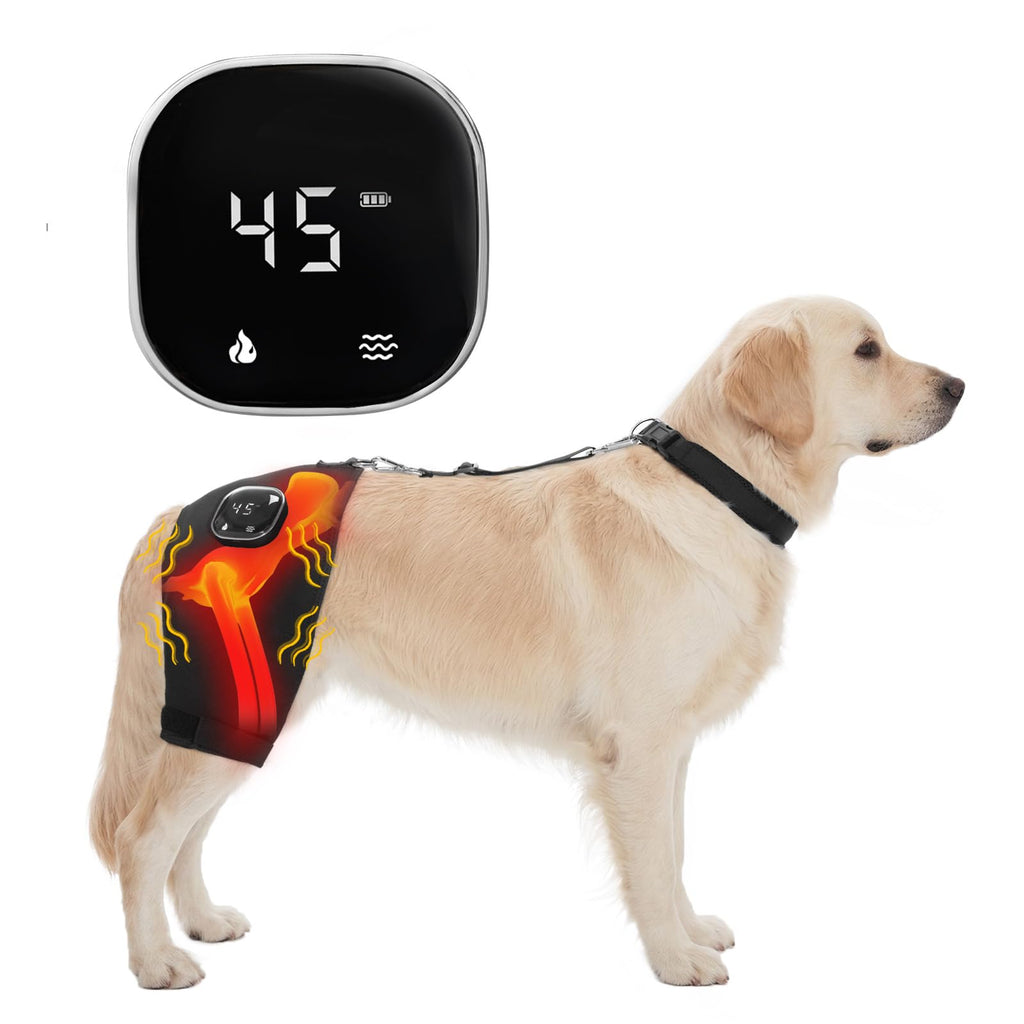 Dog Hip Brace with Heat & Vibration, Patent Pending（Female Dog, XXL)