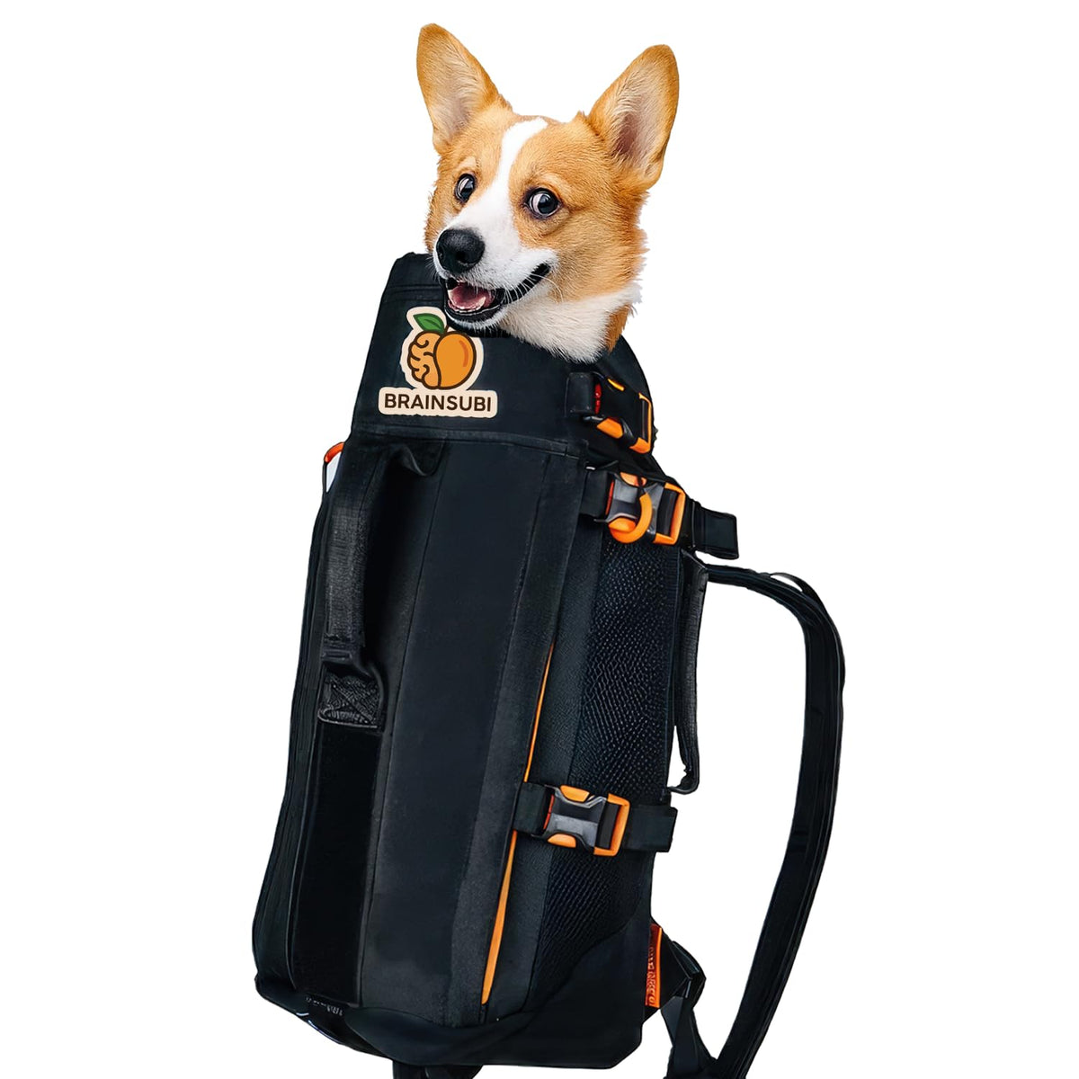 The Maxine One Medium Dog Carrier | Dog Backpack Carrier for Medium Sized Breeds | Adjustable Front Facing Pet Carrier for Travel | Dog Hiking Backpack - Bark After Dark Black