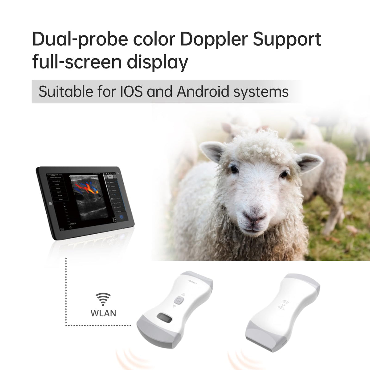 CONTEC Veterinary Color Doppler Ultrasound Machine Handheld Convex & Linear Probe for Animals Pet with WiFi and Software for Horse Sheep Dog Cat Pig Diagnostic in Farm Clinic Home CMS1600B-VET