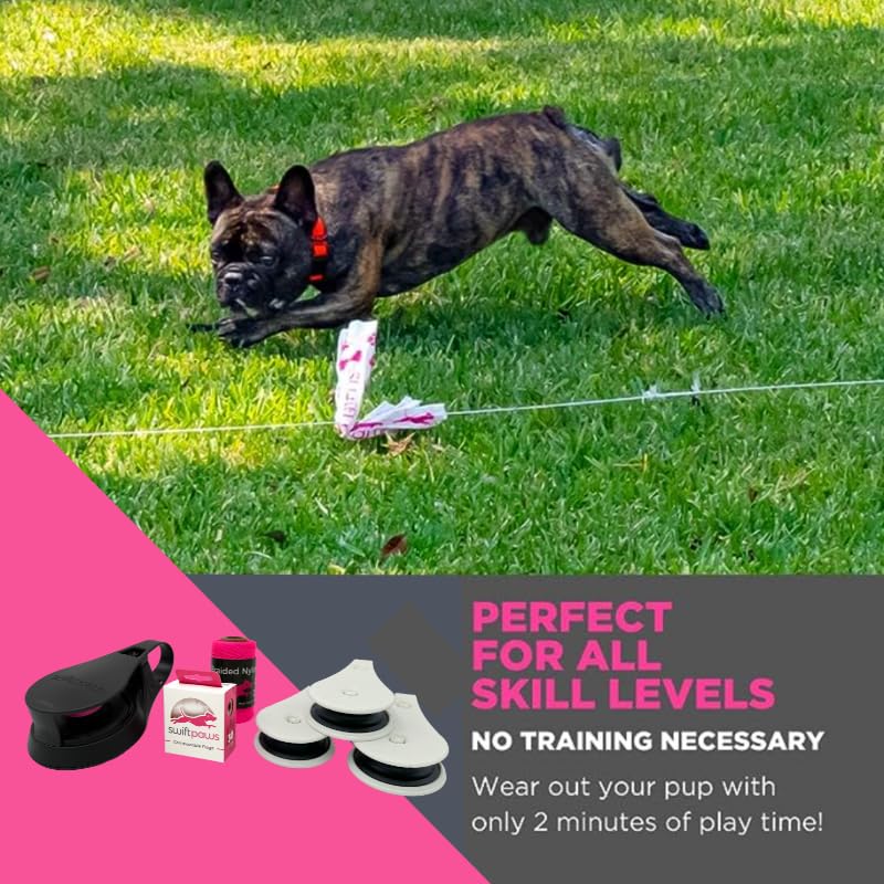 Swift Paws - Chase! - App-Control Dog Toy - Capture the Flag Lure Course - Interactive Dog Enrichment Toy