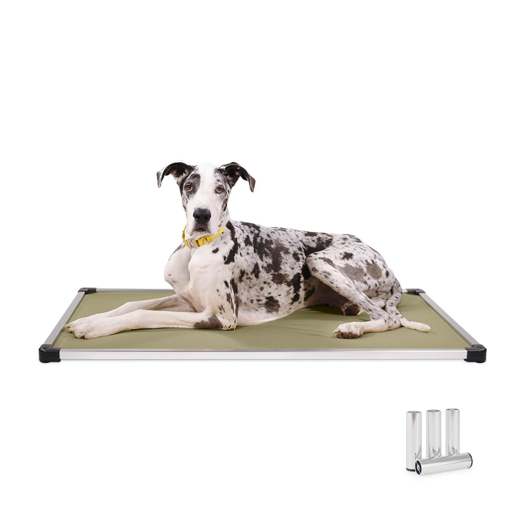 K9 Ballistics Chew Proof Armored Padded Dog Crate Bed, M, Sage Green