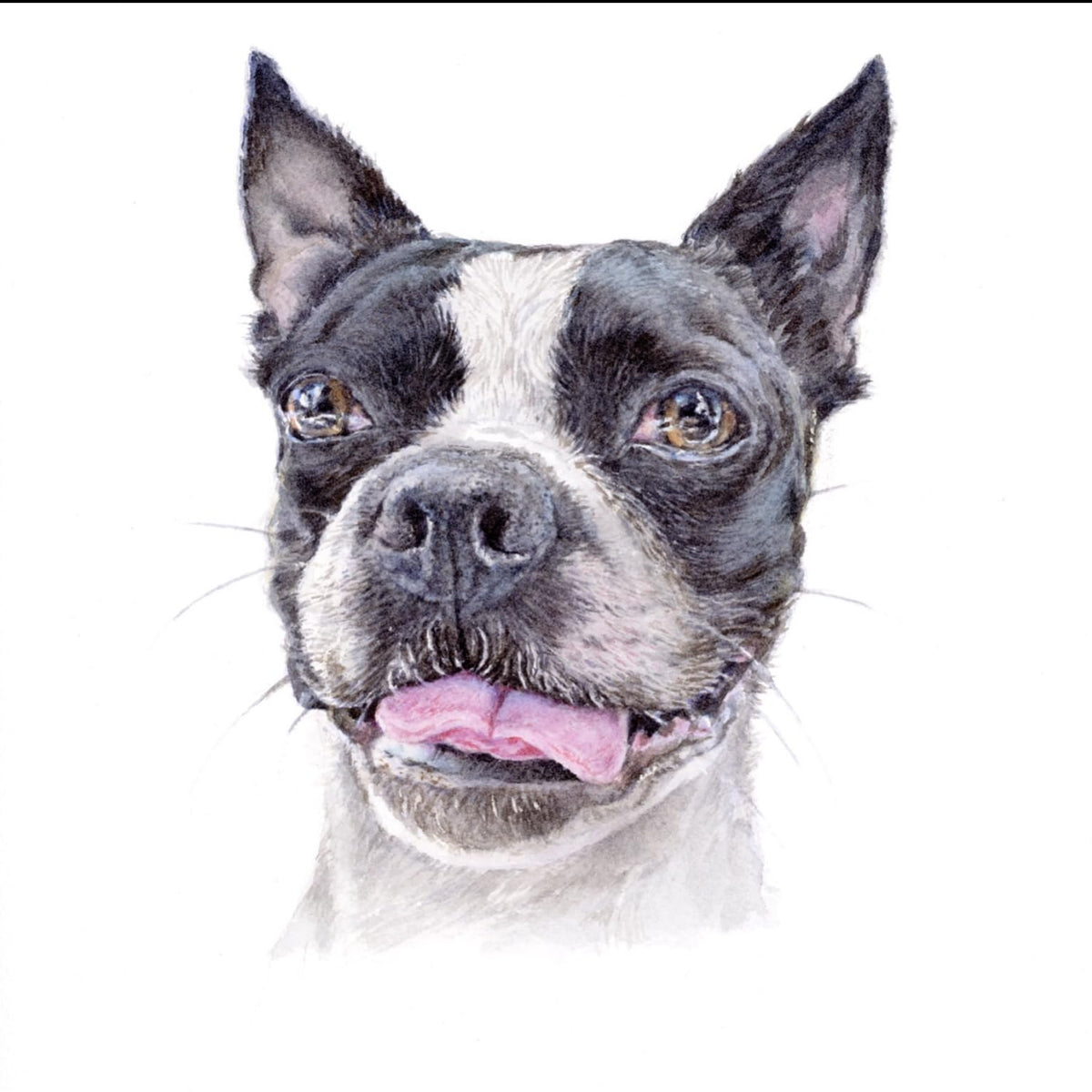 Custom pet portrait from your photo,cat or dog portrait