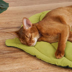 Cat Bed Mat Leaf Shape Soft Dog Bed Crate Pad Machine Washable Mattress Medium Small