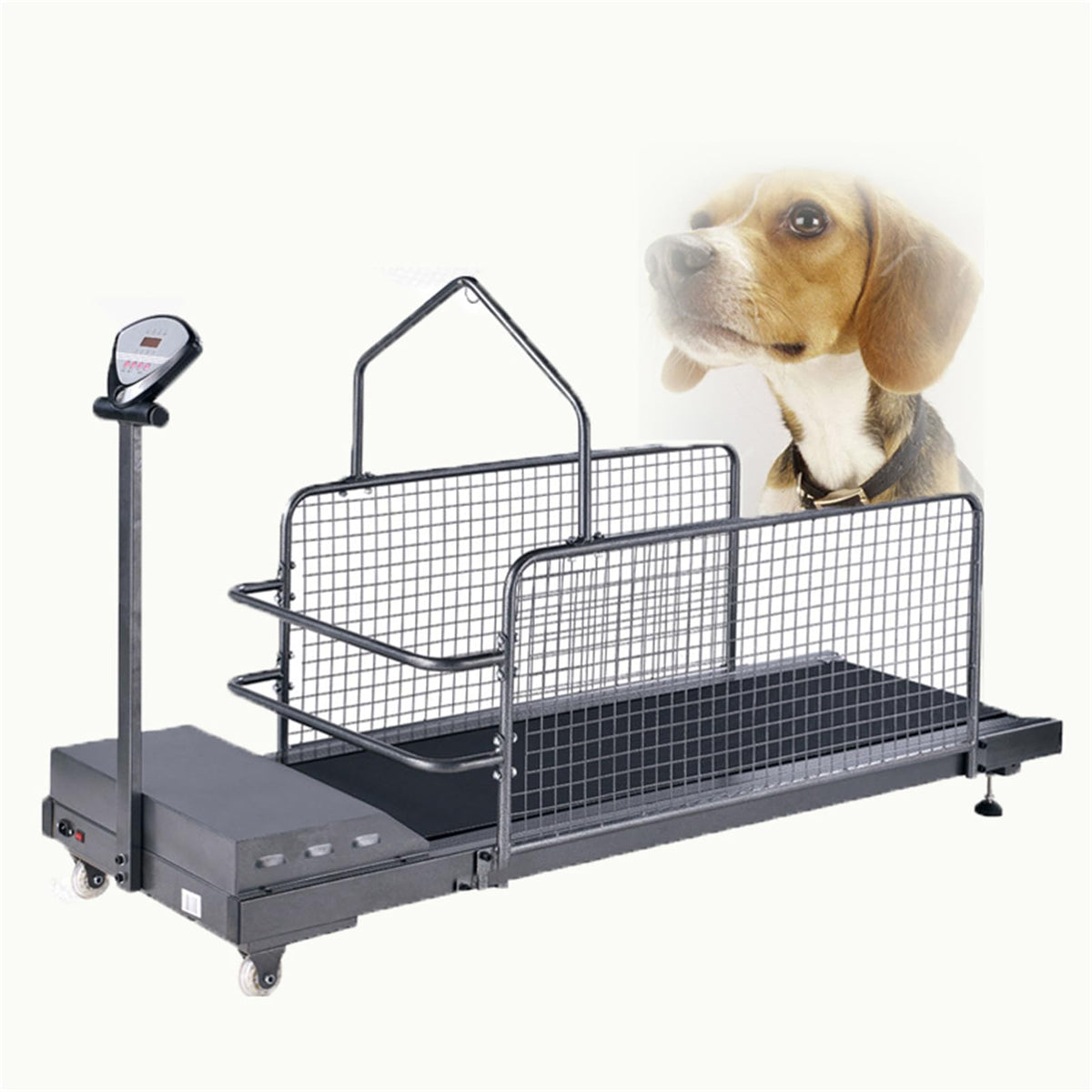 Pet Treadmill for Small/Medium/Large Dogs,Dog Running Machine w/Safe Fence,Indoor Exercise Equipment for Pet Fitness Workouts