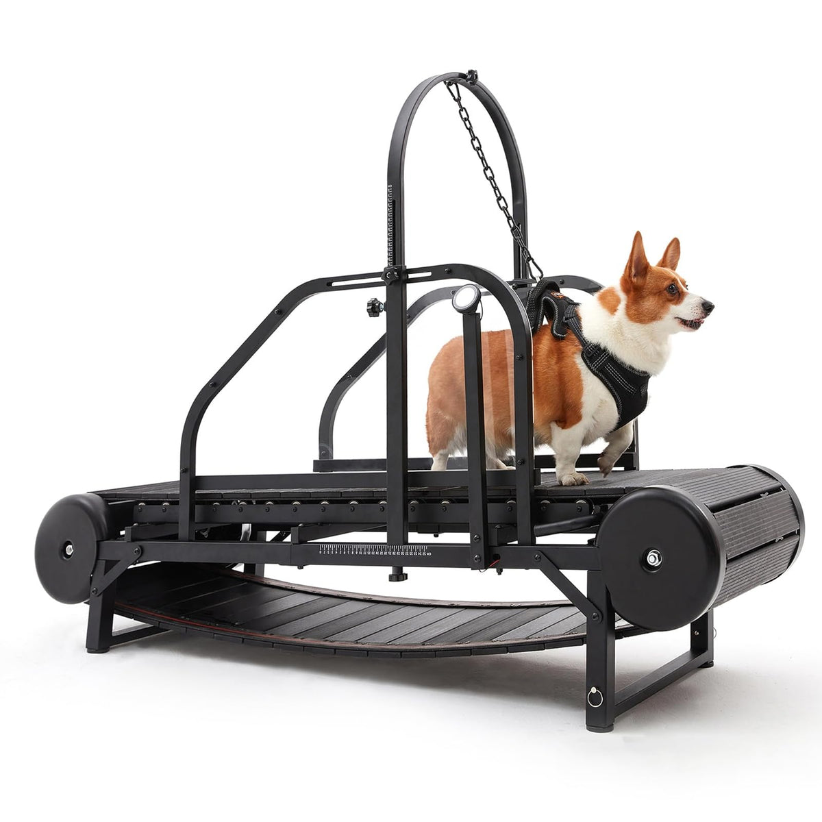 Dog Treadmill for Large Medium Dogs,Adjustable Ramp Canine Running Slatmill Machine with Pedometer for Exercise & Healthy & Fit Pet Life,Indoor Outdoor Home use,300LBS(Large)