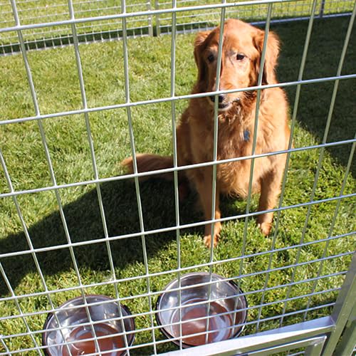8' X 24' Basic Dog Kennel Pro (Galvanized)