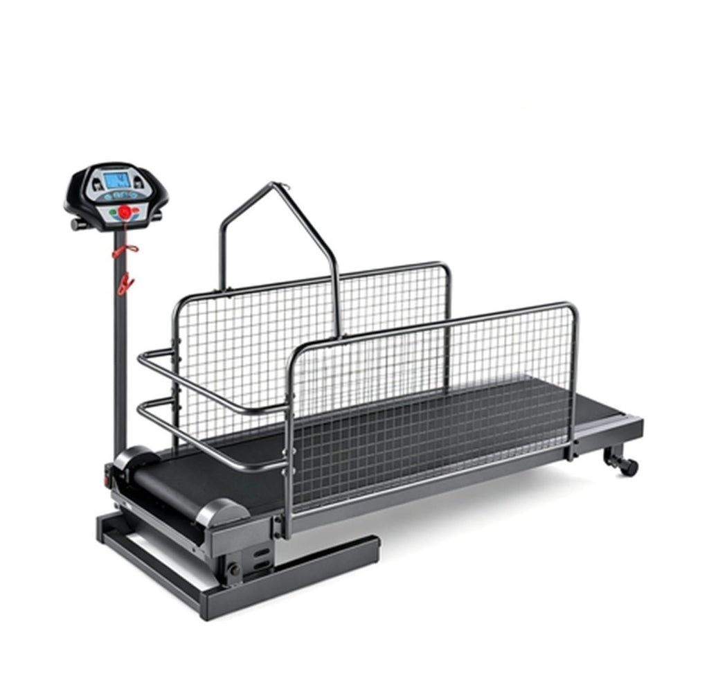 Dog Treadmill with LCD Display Dog Slat Mill