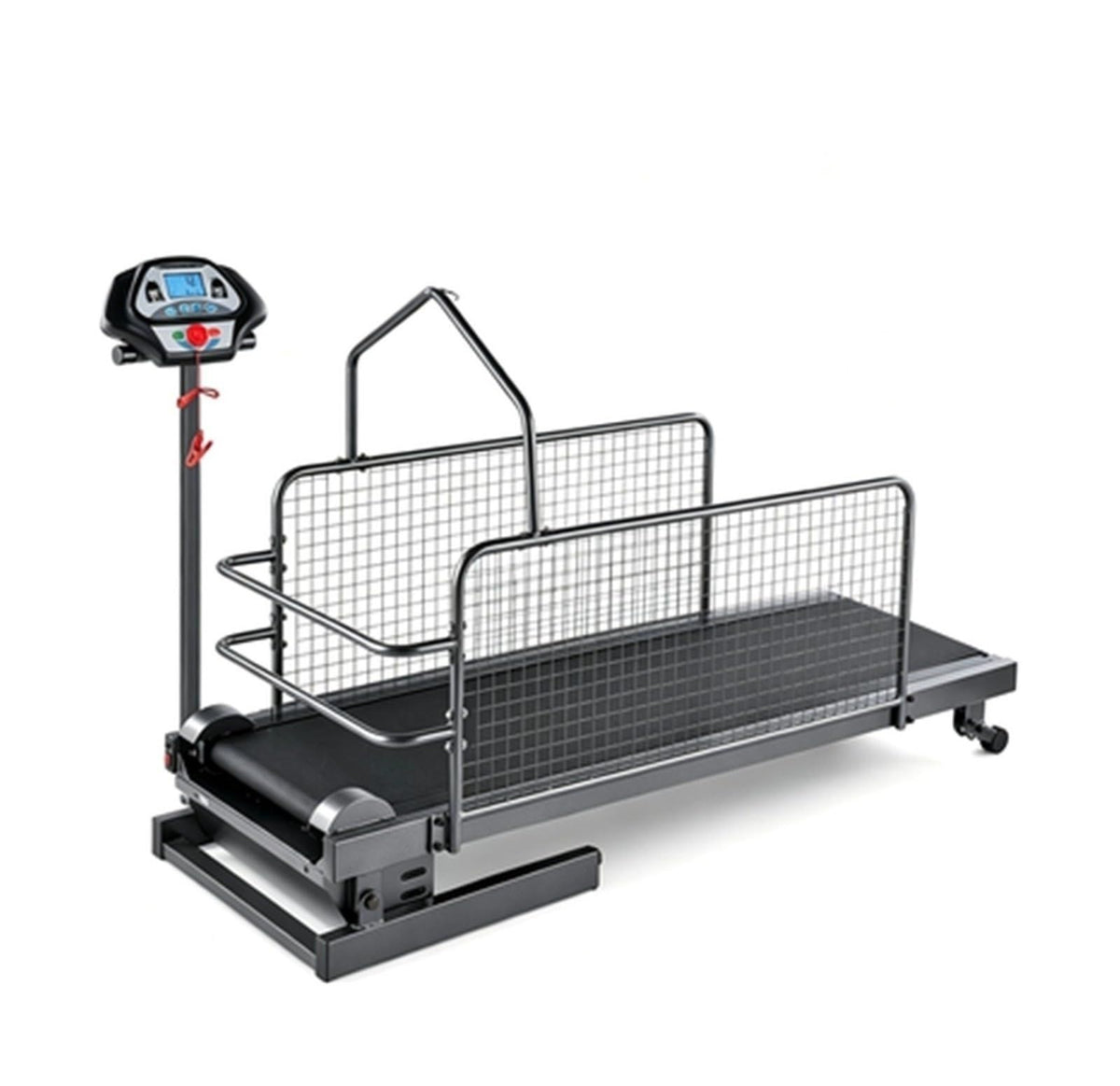 Dog Treadmill with LCD Display Dog Slat Mill