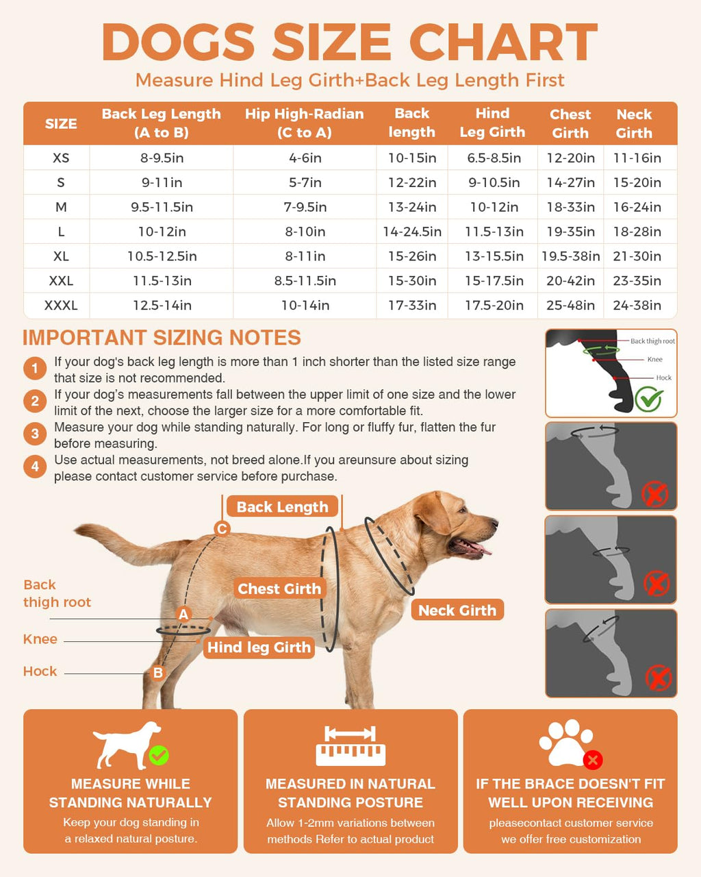 Dog Knee Brace for Luxating Patella,Torn Ligament,Both Legs/M Size