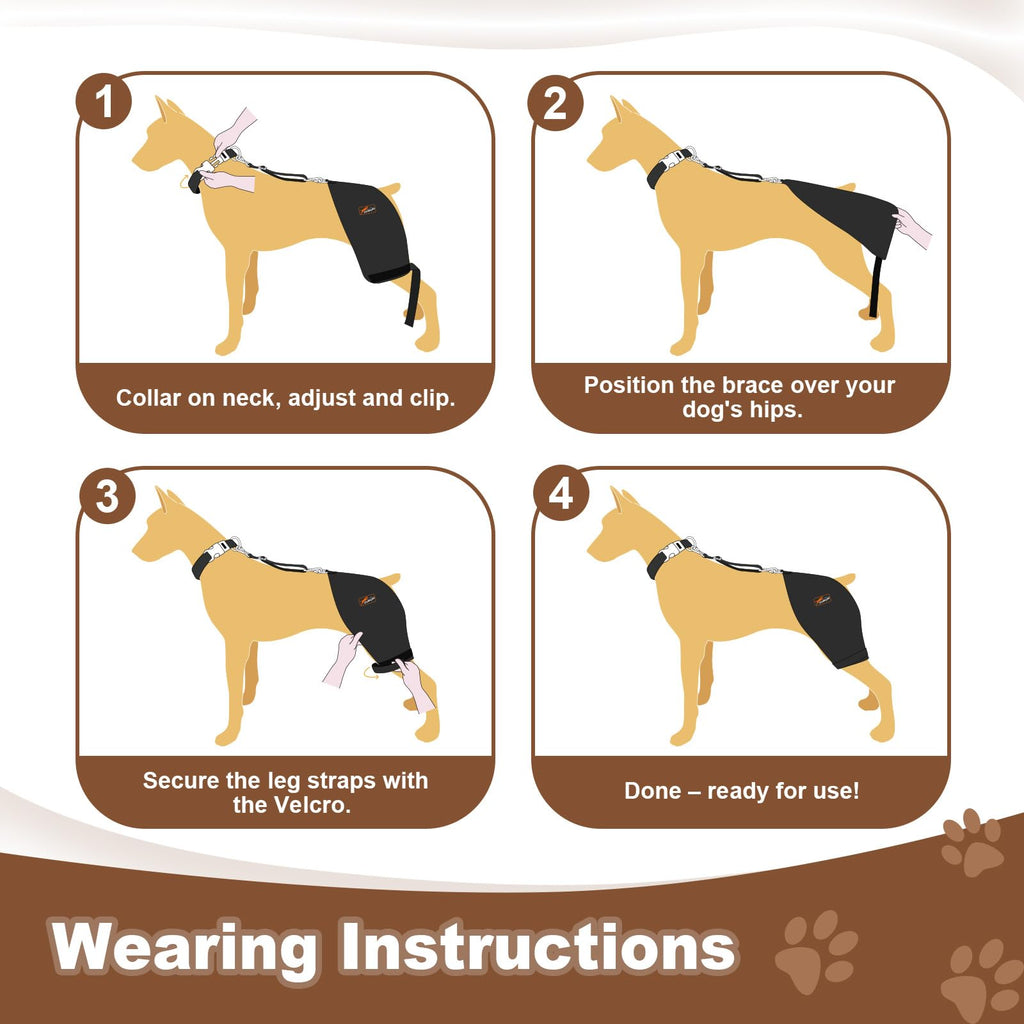 Dog Hip Brace with Heat & Vibration, Patent Pending（Female Dog, XXL)