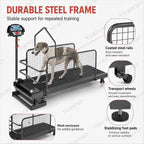 Dog Treadmill with LCD Display Dog Slat Mill