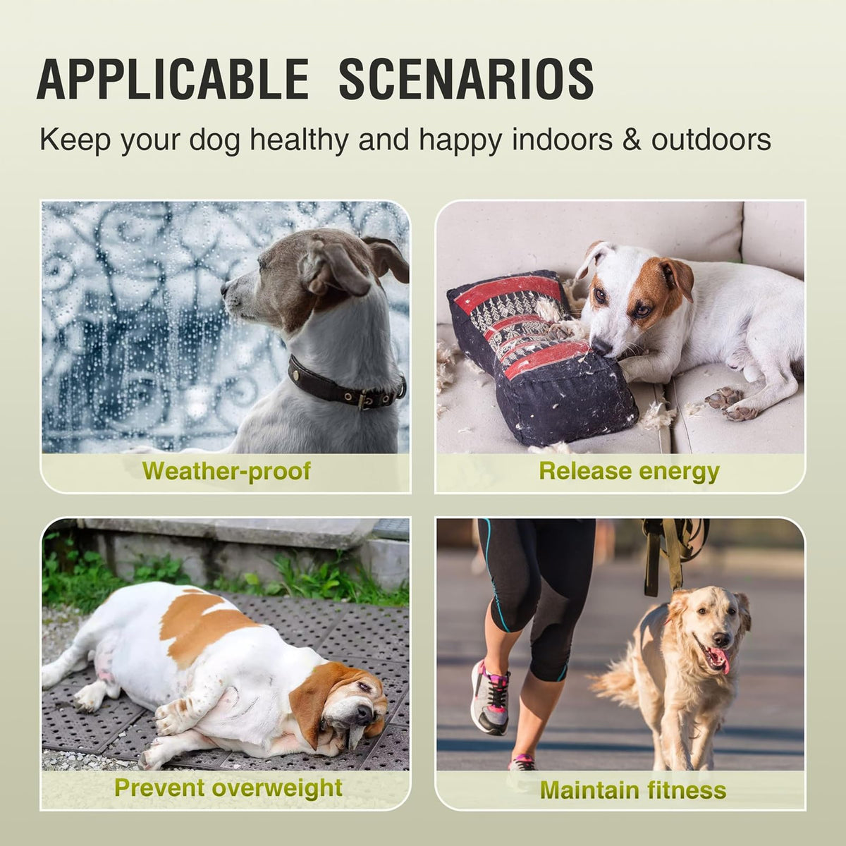 Dog Treadmill for Large Medium Dogs,Adjustable Ramp Canine Running Slatmill Machine with Pedometer for Exercise & Healthy & Fit Pet Life,Indoor Outdoor Home use,300LBS(Large)