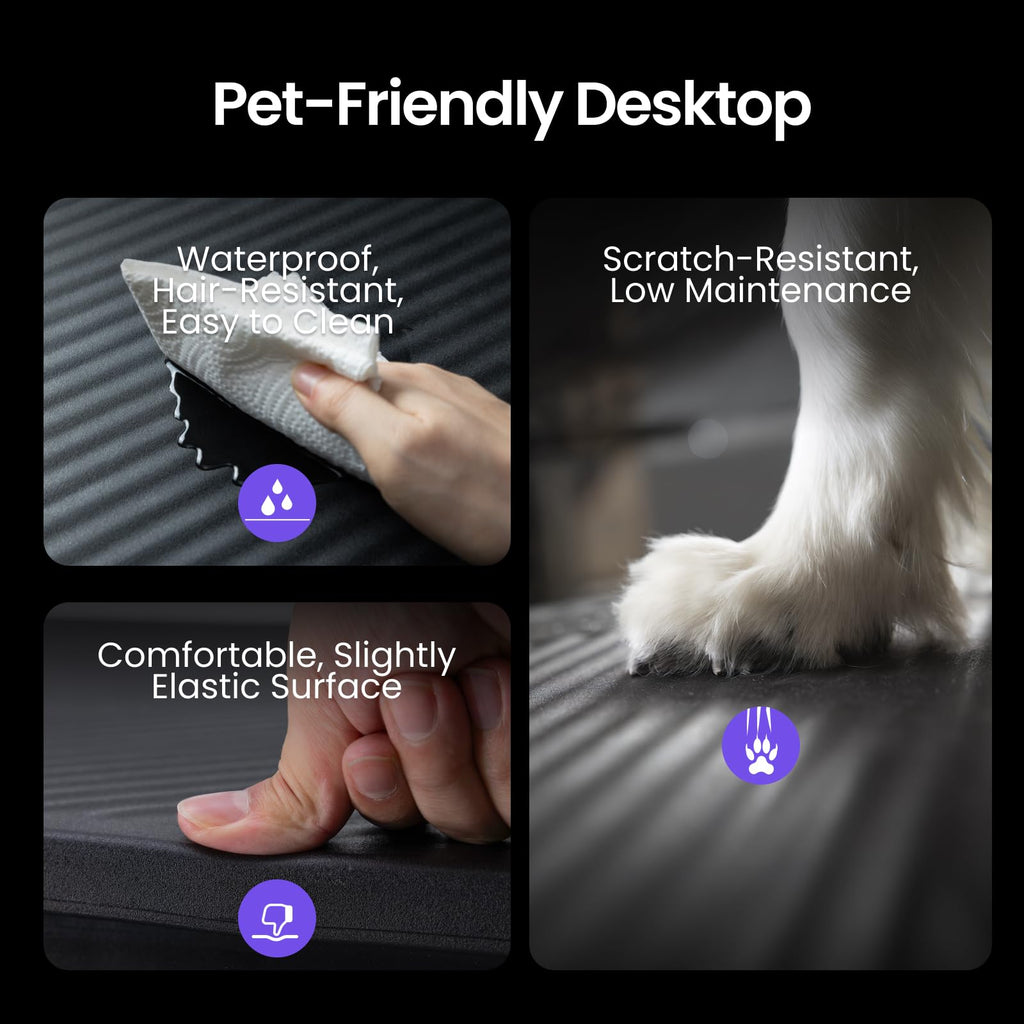 Electric Dog Grooming Table with Memory Function and Grooming Lights