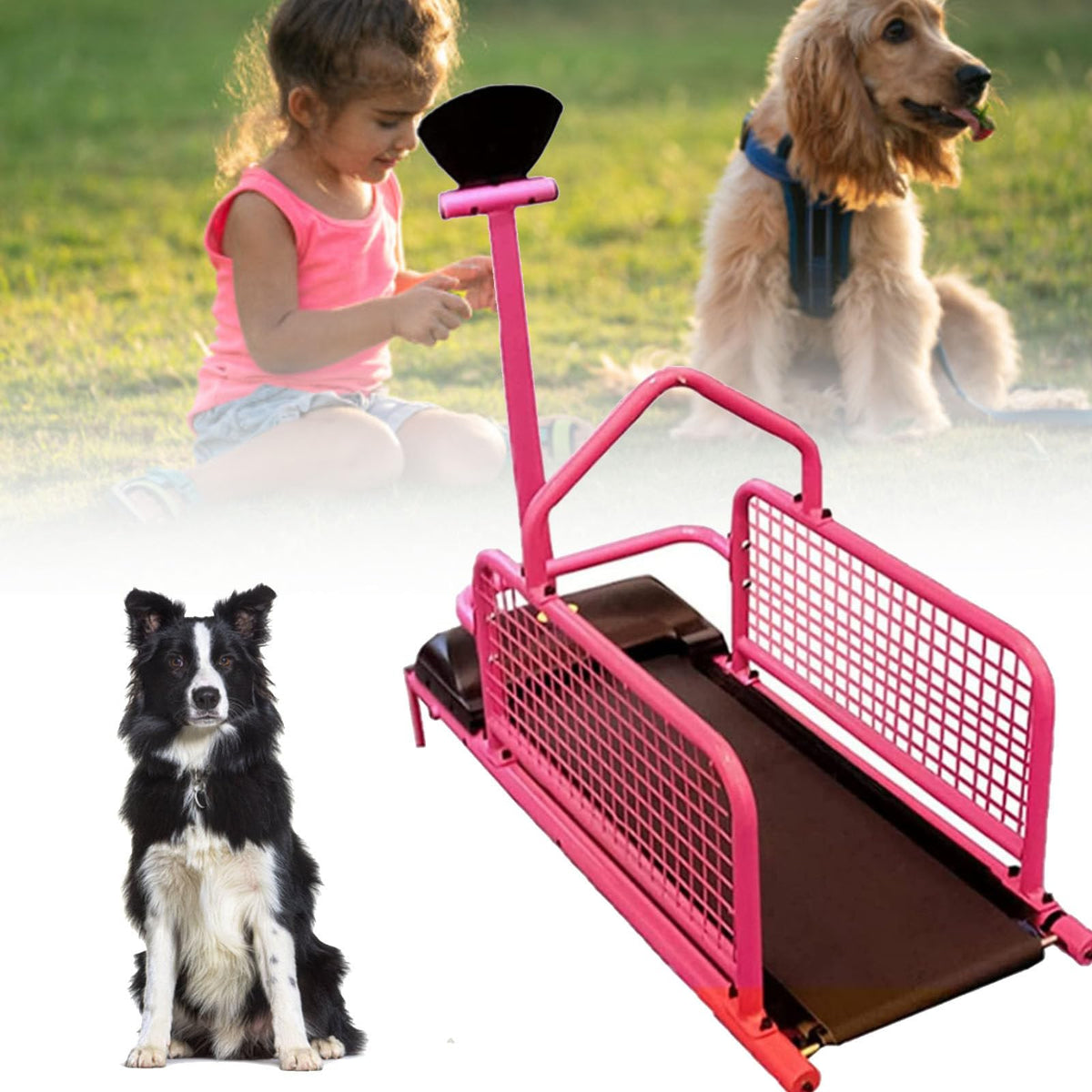 Indoor Dog Treadmill for Exercise, Supports Up to 176 lbs, Perfect for Small to Large Dogs, Ideal for Weight Loss, Fitness, and Healthy Lifestyle