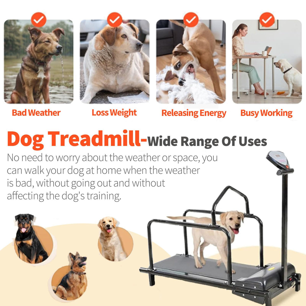 Indoor Dog Treadmill for Exercise, Supports Up to 176 lbs, Perfect for Small to Large Dogs, Ideal for Weight Loss & Fitness Training
