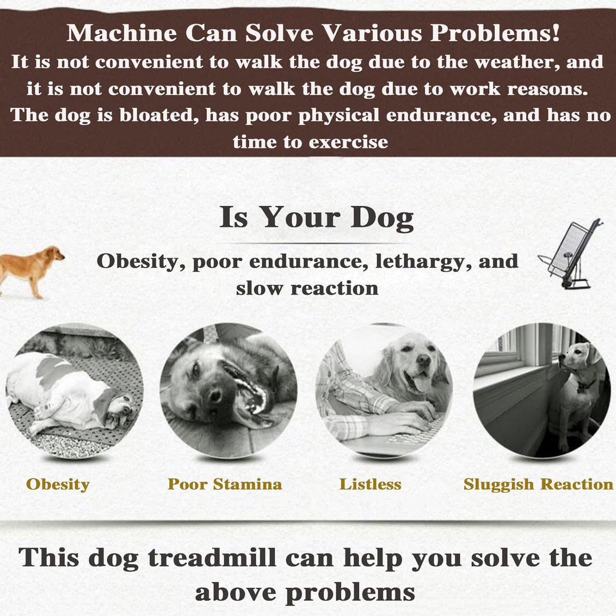 Large Medium Dogs Dog Treadmill,Pet Running Machine Exercise Equipment, LCD Display Scree,0.8-12 Km/H Speed,Indoor & Outdoor Training,Up 220LB