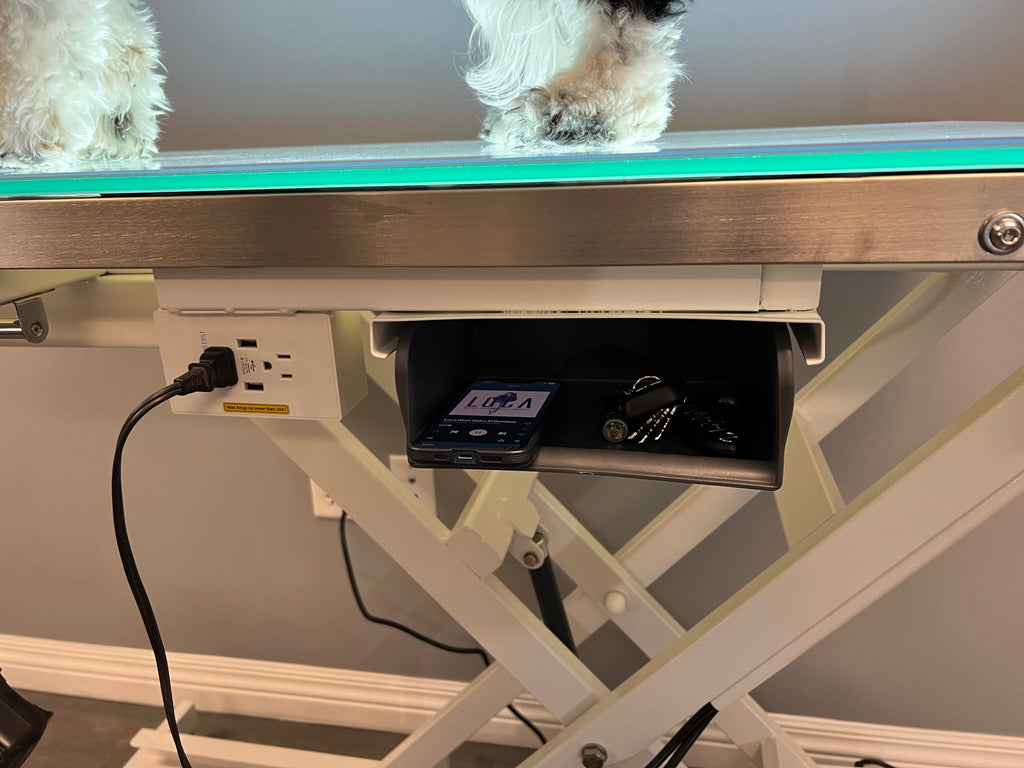 LED Lit Master Groomer Electric Lift Grooming Table (Basic Package)