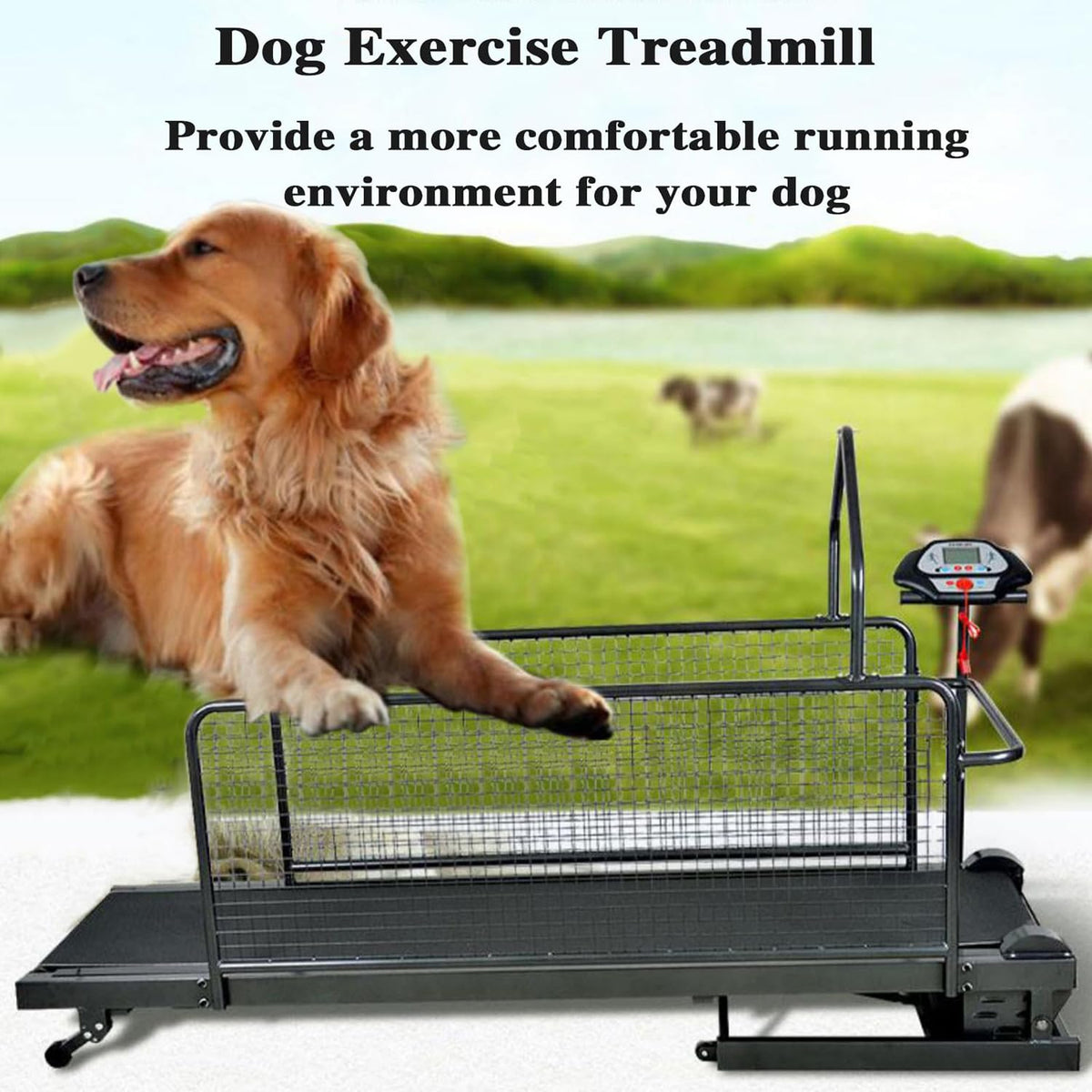 Large Medium Dogs Dog Treadmill,Pet Running Machine Exercise Equipment, LCD Display Scree,0.8-12 Km/H Speed,Indoor & Outdoor Training,Up 220LB